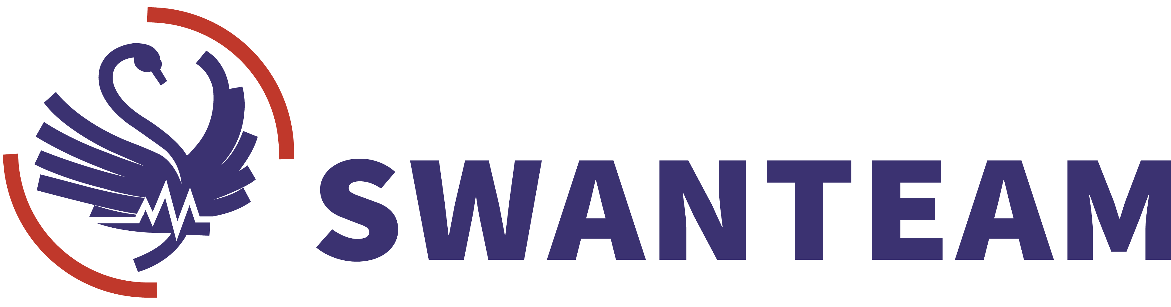 SWANTEAM
